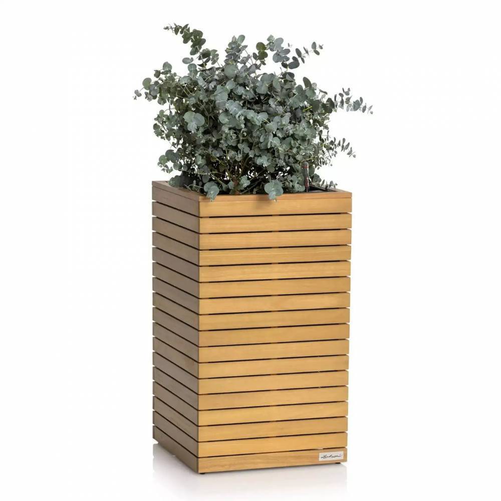 Dekorativ Krukke Trae Levering Plante Kurv